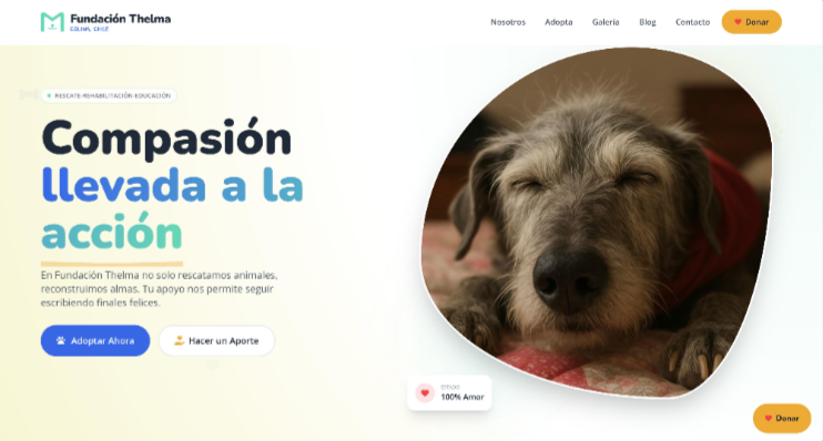 Sitio web desarrollado para Fundación Thelma